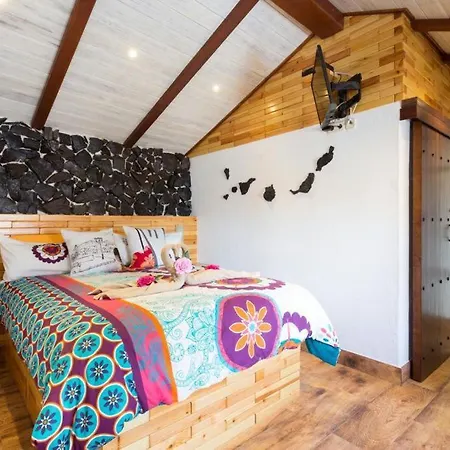 Vakantiehuis Traditional Canary In