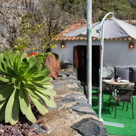 Traditional Canary In Holiday home *